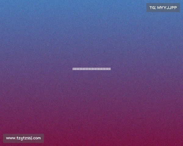 德甲中卫位置的战术作用与发展趋势分析及未来潜力展望